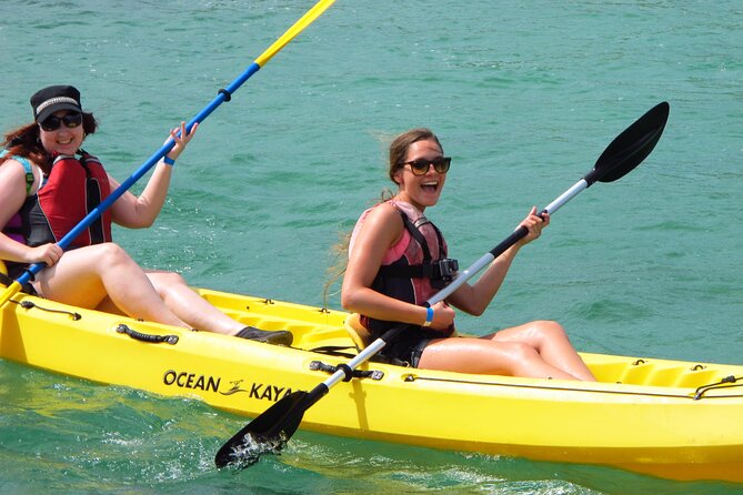 St Thomas Mangrove Lagoon Kayak and Snorkel Tour in the US Virgin Islands - Guides make a major difference