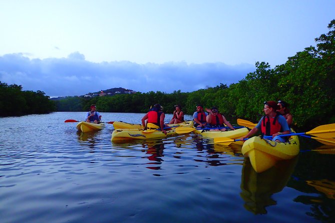 St Thomas Night Kayak Tour - Key things to know before you go
