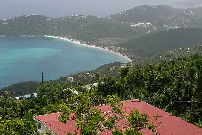 St Thomas Private Group Tour (11 or more ppl) - Choosing between the van and safari vehicle