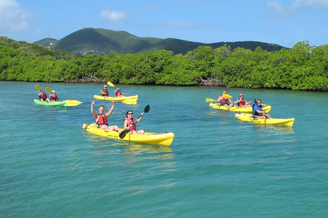 St Thomas Shore Excursion: Mangrove Lagoon Kayak and Snorkel Tour - Five things to know before you book