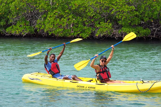 St Thomas Shore Excursion: Mangrove Lagoon Kayak and Snorkel Tour - Cas Cay, shell beaches, and a short nature walk