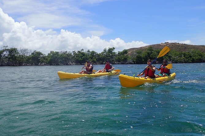 St Thomas Shore Excursion: Mangrove Lagoon Kayak and Snorkel Tour - Group size, pace, and the guide factor