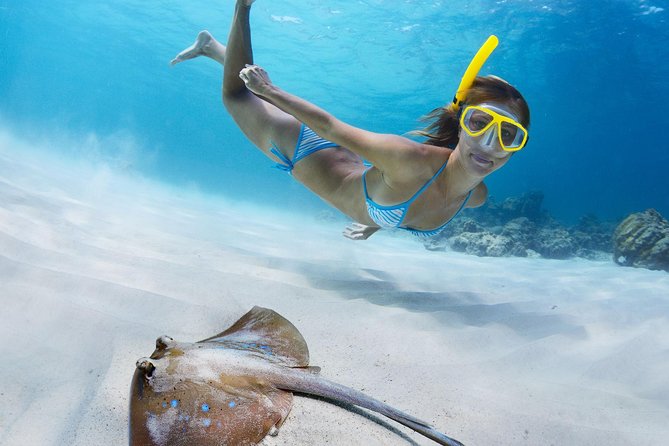St Thomas~St John Snorkel, Swim & Beach Trip on MV Island Flyer - Snorkeling Around St. John and the Nearby Cays