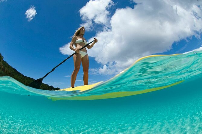 Stand Up Paddleboard Rental in St Thomas - Starting at the Mangrove Lagoon at 9:00 AM