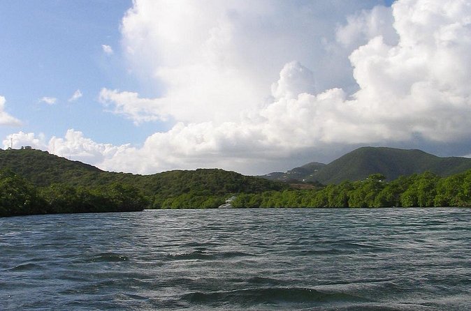 Stand Up Paddleboard Rental in St Thomas - Frenchtown and Charlotte Amalie Harbor Options