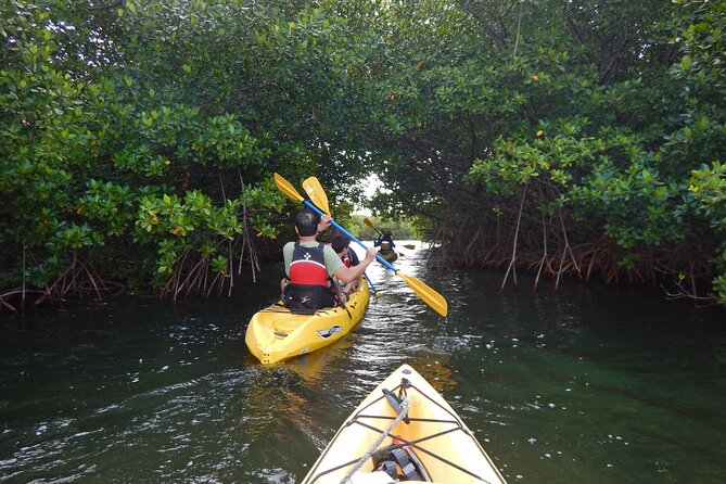 Sunset Kayak Tour in the Mangrove Lagoon, St Thomas - Key points before you book