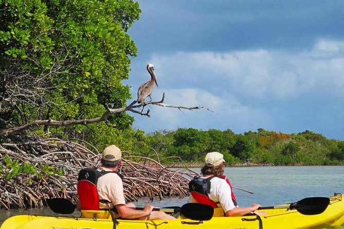 Sunset Kayak Tour in the Mangrove Lagoon, St Thomas - Starting at the Virgin Islands Ecotours Marina
