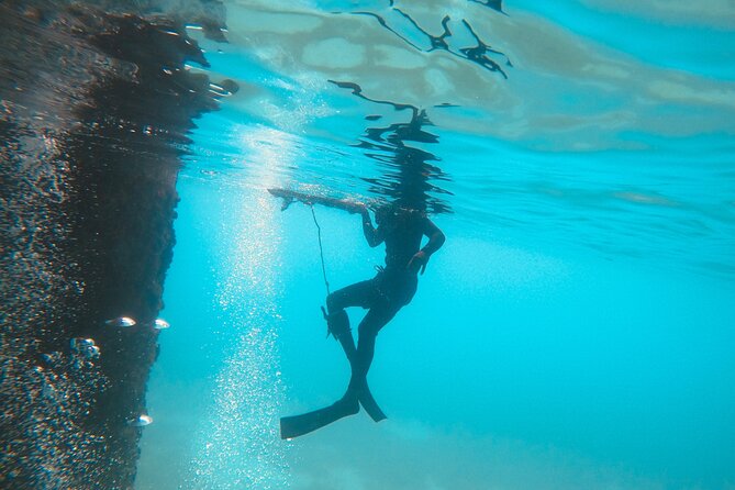 The Frederiksted St. Croix Sea Turtles Snorkeling Tour - Is $89 a fair price?
