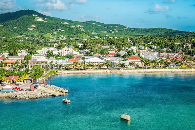 The Frederiksted St. Croix Sea Turtles Snorkeling Tour - Who will enjoy this most