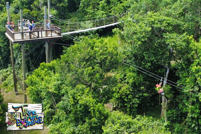 Tree Limin' Extreme Zipline - Safety, confidence, and the role of the guides