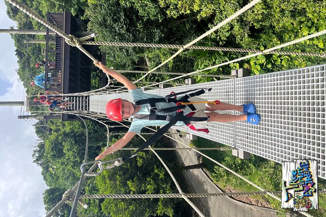 Tree Limin' Extreme Zipline - The views are worth part of the price
