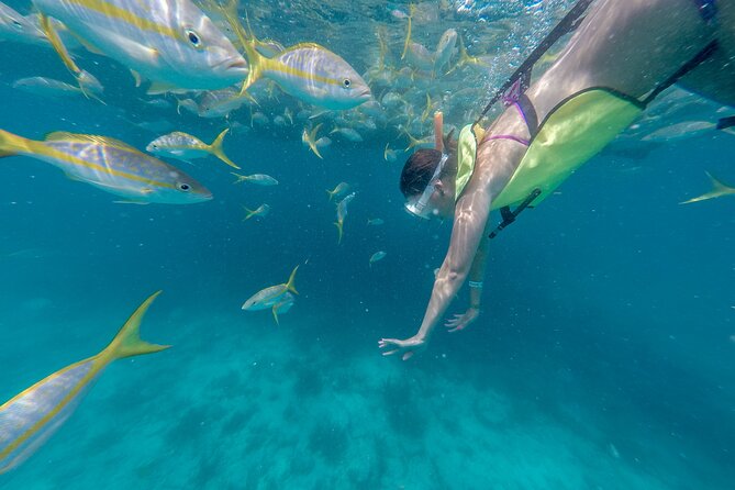 Turtle Snorkel Sail on Buck Island from Frenchman's Reef - A possible shipwreck beneath Buck Island