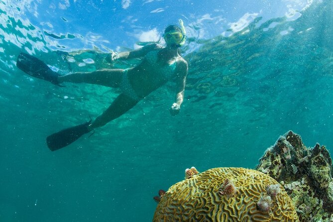 Turtle Snorkel Sail on Buck Island from Frenchman's Reef - The open-bar sail back to St. Thomas