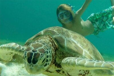 Turtles, Pizza Pi & Sunset trip