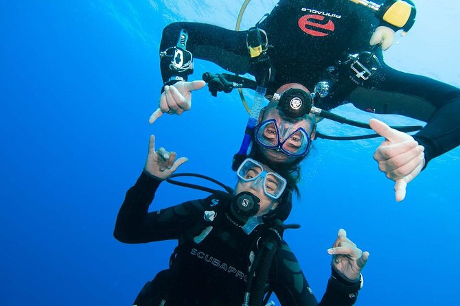 Two-Tank Dive for Certified Diving in St Thomas - Starting at Aqua Marine Dive Center in Saga Haven Marina