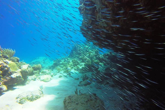 Two-Tank Dive for Certified Diving in St Thomas - The surface interval with snacks and soda