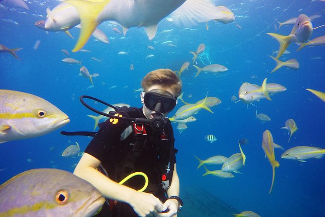 Two-Tank Dive for Certified Diving in St Thomas - What the $189 price really covers