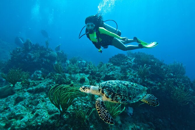 Two-Tank Morning Dive Trip for Certified Divers - Key points at a glance
