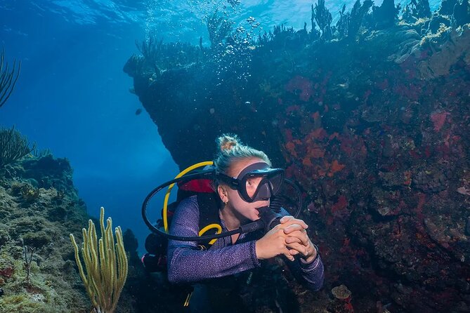 Two-Tank Morning Dive Trip for Certified Divers - The quality of the reef depends on the day