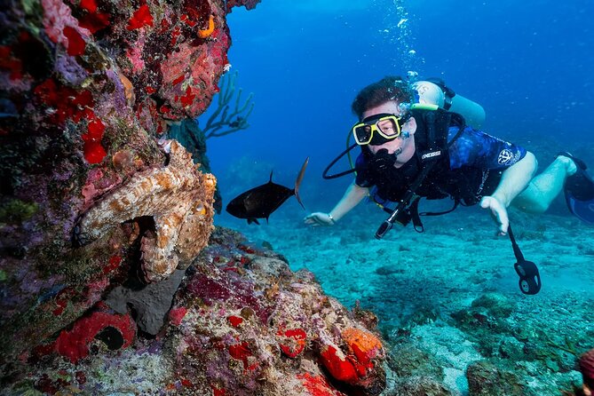 Two-Tank Morning Dive Trip for Certified Divers - Is $180 a fair price?
