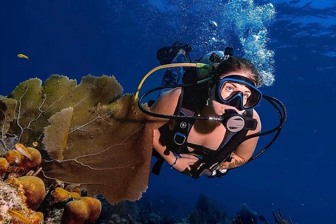 Two-Tank Morning Dive Trip for Certified Divers - Booking timing and cancellation details