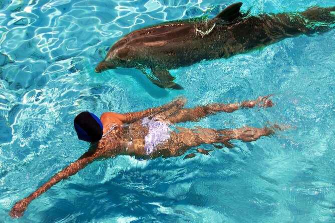 USVI Private Boat Charters - New, Fast Powerboats for Half and Full Day - Snorkeling, turtles, rays, and the boat itself