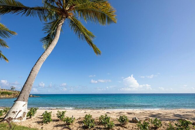Vi Top Taxi & Tours -Airport Transfer to Bolongo Bay/ Limetree - How I would prepare for pickup