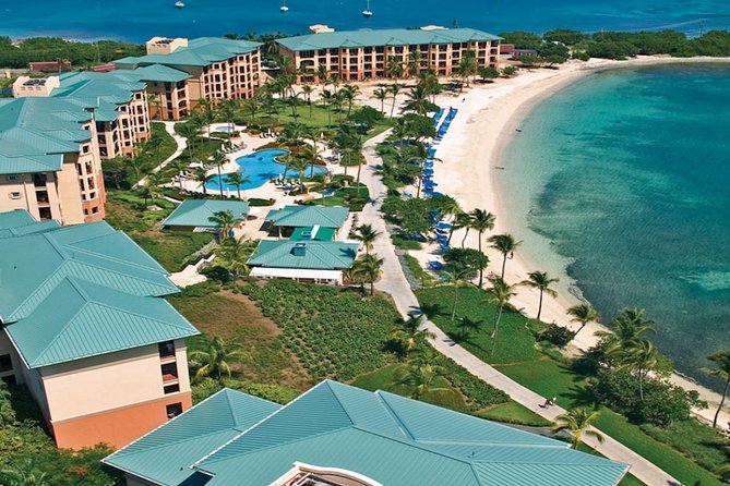 Vi Top Taxi &Tours - Airport Transfer to the Ritz Carlton - Key points to know before booking