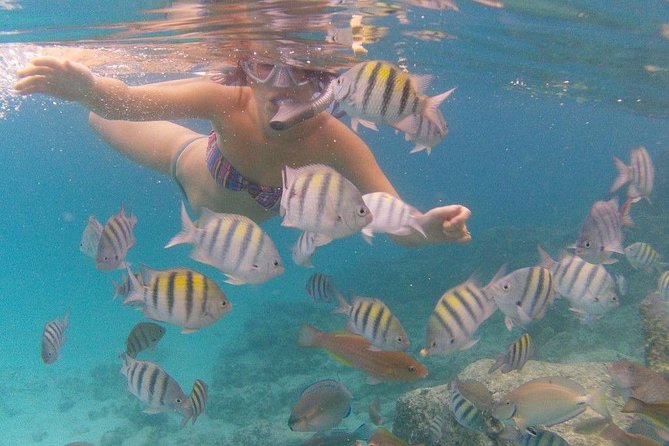 Vi Top Taxi &Tours USVI-Coki Beach Snorkeling Tour - Mountain Top gives you the broadest first look